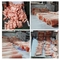 Ηλεκτρικός παγωμένος Slicer κρέατος αυτόματος εμπορικός τεμνουσών μηχανών