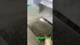 Δοκιμή μηχανής εξώθησης σφαιριδίων 200kg/h πλωτής τροφοδοσίας ψαριών πριν από τη συσκευασία #fishfeedmachine