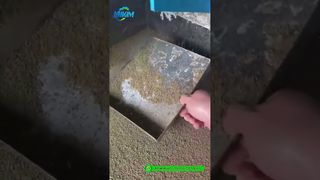 Μύλος Pellet Feed Γαρίδας | Εργοστασιακή παραγωγή τελικού προϊόντος Demo#feed μηχανή pellet